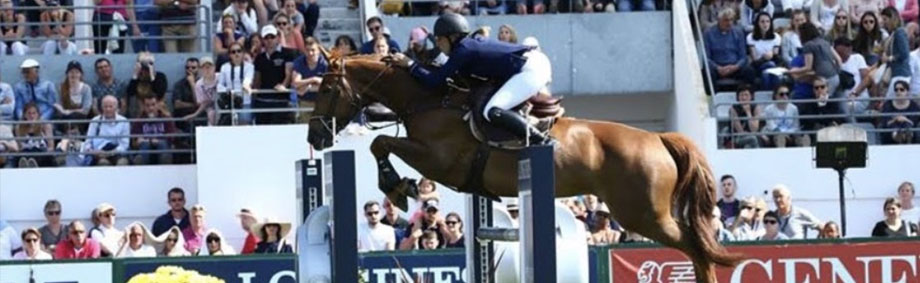 Ecuries Team GM centre Equestre de la meilleraie, les Sorinières proche de Nantes et de Rezé (44) - cours d'équitation, des stages d'initiation ou de perfectionnemment, des randonnées avec Eva Cavalière pro